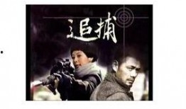 电视剧追捕全集在线观看,生死较量，正义之战