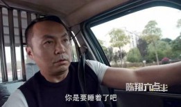 鹏哥爆料司机是谁啊视频,爆料视频中的神秘司机身份大起底