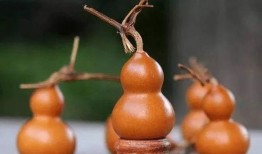 葫芦最新爆料是真的吗,真相揭秘，是真是假？