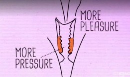 naked attraction在线观看,揭秘Naked Attraction在线观看之旅