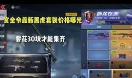 cfms3赛季最新爆料,神秘英雄崛起，战局风云再起！