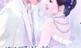 夜夜爱在线观看的,一场跨越时空的浪漫邂逅