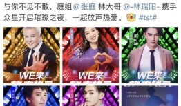 张庭代理商最新爆料,揭秘神秘内幕，揭开行业黑幕！