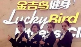 金吉鸟最新爆料,揭秘行业背后惊人内幕