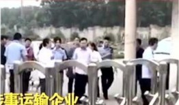 儋州爆料新闻事件最新,惊曝某企业涉嫌违规操作，环保部门紧急介入调查