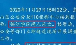 四川大学爆料事件最新,真相与争议交织的校园风云