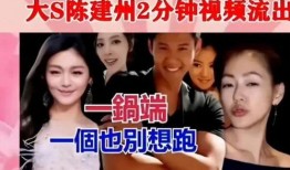 台湾娱乐圈吃瓜,揭秘娱乐圈背后的那些“瓜”