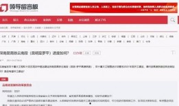 云南投资爆料最新消息新闻,聚焦重点领域，共谋发展新篇章