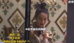 狗仔爆料奶狗视频大全下载,奶狗视频大全下载全攻略