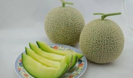 娱乐家吃瓜,揭秘明星们的“吃瓜”日常