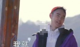 台湾爆料阮经天视频,揭秘娱乐圈不为人知的真相