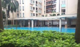 二楼花园爆料视频大全,揭秘花园里的秘密瞬间