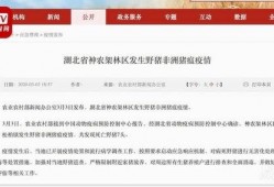 湖北最新爆料消息新闻,揭秘神秘事件背后的真相