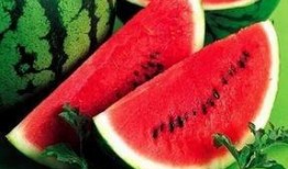 兽餐1西瓜在线观看,一场惊心动魄的冒险之旅