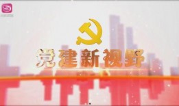 龙岗爆料新闻最新,揭秘社区突发事件的背后真相