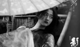 《影》 在线观看,暗流涌动的宫廷权谋与人性挣扎