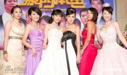 豪门本色在线观看,揭秘权贵家族的奢华生活与爱恨情仇