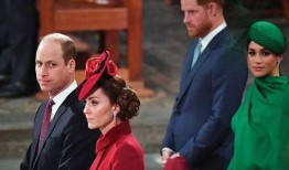 英国王室成员爆料视频大全,英国王室成员爆料视频大汇总