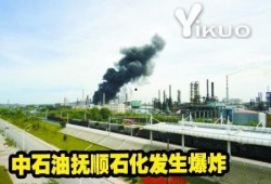 辽宁抚顺爆料事件最新情况,真相逐步浮出水面