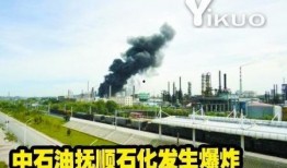 辽宁抚顺爆料事件最新情况,真相逐步浮出水面