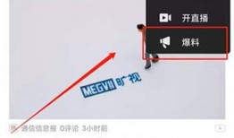 爆料什么挣钱最快呢视频,爆料行业最快赚钱秘籍！