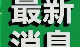 每日爆料最新热点新闻,聚焦最新热点，揭秘社会万象