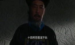 四爷在线观看,揭秘宫廷秘史，穿越时空的传奇之旅