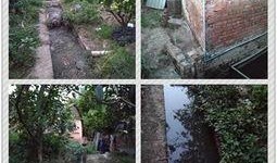 孙女爆料养猪场视频大全,养猪场真实内幕视频大全揭秘