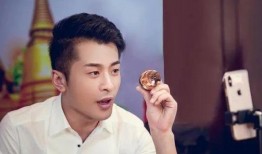 谁爆料辛巴卖假货的视频