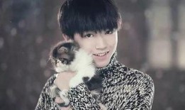 王俊凯今日爆料,娱乐圈背后的那些事儿