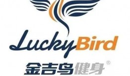 金吉鸟最新爆料,揭秘行业背后惊人内幕