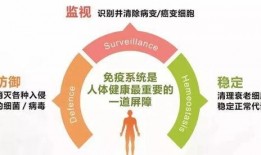 吃瓜网红文案怎么写好一点,瓜界达人教你轻松写出爆款吃瓜文案