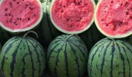 吃瓜网红文案怎么写好一点,瓜界达人教你轻松写出爆款吃瓜文案