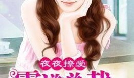夜夜爱在线观看的,一场跨越时空的浪漫邂逅