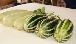 网红瓜在哪吃免费,揭秘隐藏在市井中的美食秘境