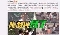 东九条街爆料视频最新,事件真相与背后故事