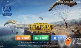 和平精英爆料烟花视频,全新游戏体验即将开启