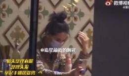 狗仔爆料奶狗视频大全下载,奶狗视频大全下载全攻略