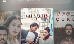 在线去观看,在线观看体验全解析