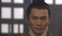 碧血剑林家栋在线观看,林家栋传奇，在线重温武侠经典