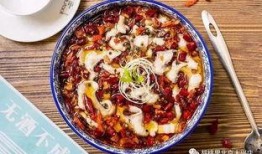 独家爆料川菜视频,川菜大师的独家秘籍，视频大公开！