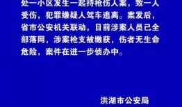 如何向洪湖新闻爆料,如何有效爆料，共建和谐社区