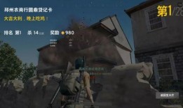 油爆料吃鸡视频,揭秘吃鸡游戏幕后精彩瞬间