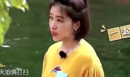 娱乐圈爆料女明星素质,女明星素质大揭秘！