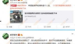 楚河爆料嗨氏直播视频,楚河爆料背后的精彩瞬间