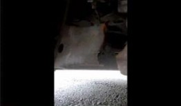 深圳网友爆料保姆原视频,揭露家政行业惊人内幕