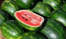 非洲网红吃瓜视频大全下载,趣味横生的非洲生活瞬间