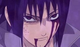 青年佐助爆料视频合集免费观看,独家揭秘，免费畅享精彩瞬间