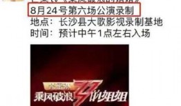 乘风爆料新闻最新消息今天,今日热点事件深度解析