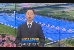 天涯爆料王晓明视频播放,王晓明视频播放引发热议，揭秘背后真相